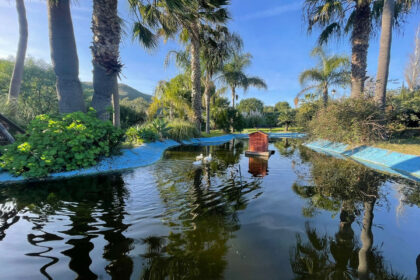 37112db11672464d4424b84ab99f3bdb - 62