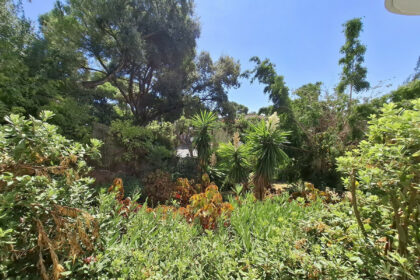 391070bcacdb65b253b56f29f5cd3deb - 12