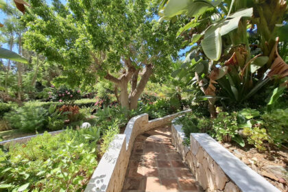 391070bcacdb65b253b56f29f5cd3deb - 35