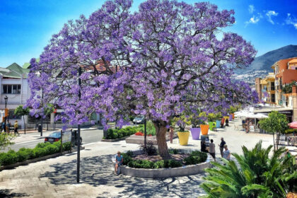 3aa72488ecb11b9fbfcdff8d4e64f615 - 38