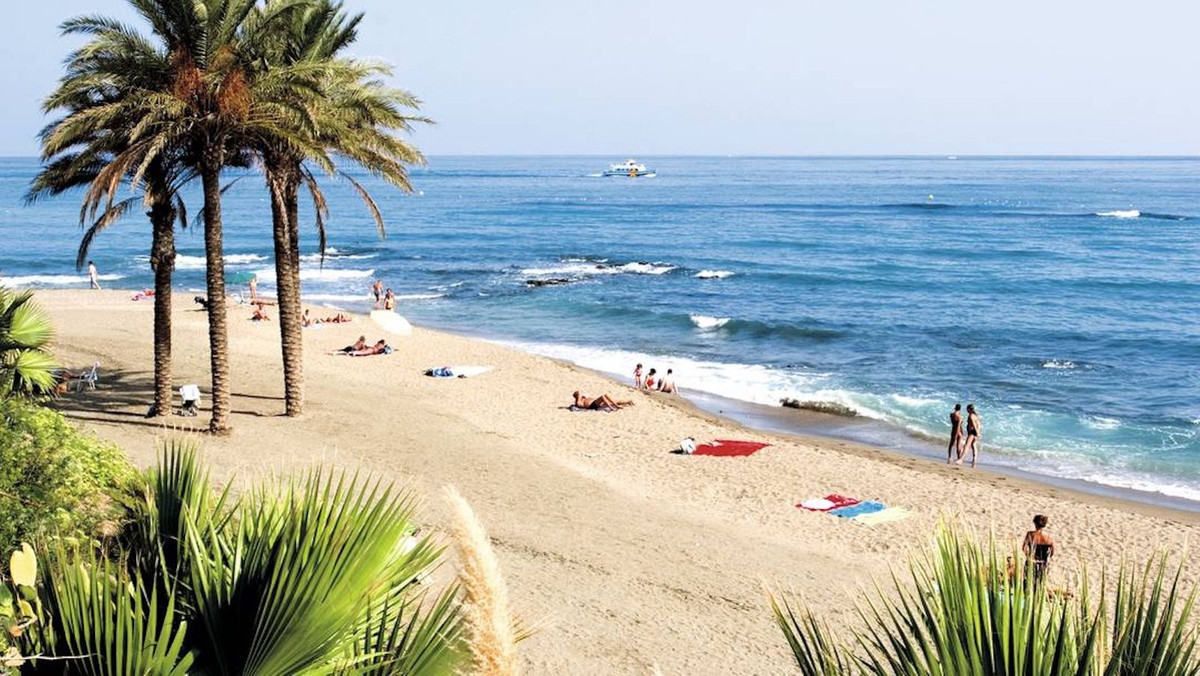 3aa72488ecb11b9fbfcdff8d4e64f615 - 40