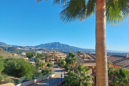 3d3cc3cc034fc2d5a0bf1cc68117926c - 18