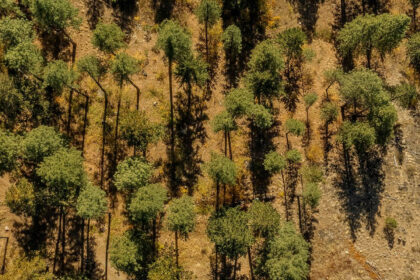 4fb72cd88f5b38453aee28a83edddab2 - 11