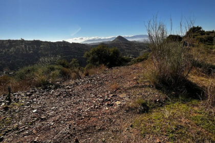 4fb72cd88f5b38453aee28a83edddab2 - 7