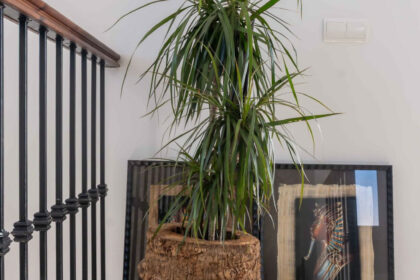 500ac375c3a623f5578459482c6c3a90 - 21