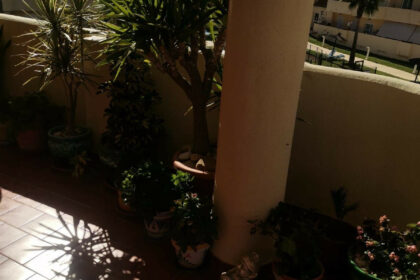 54e04f852a6f3c13ea51a7eacdbe5d14 - 8