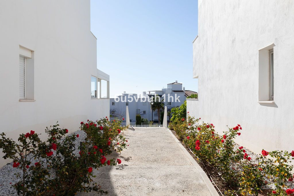 5a7937f2226dad7dd3f4057b74c0f00a - 22