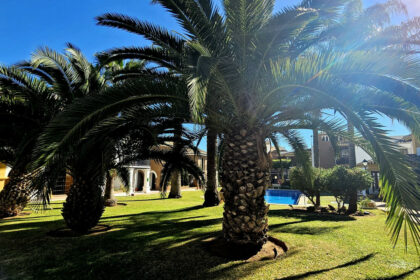 6311cf11eb2e21606a39e5af229ae666 - 22