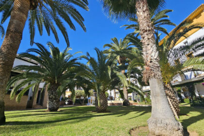 6311cf11eb2e21606a39e5af229ae666 - 26