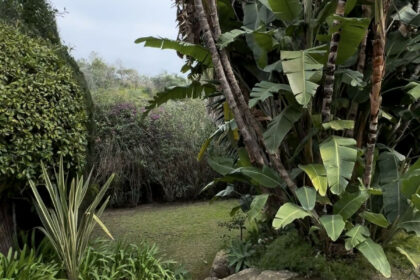 733c56ef74201cfab299c618f09eac70 - 37