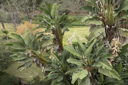 733c56ef74201cfab299c618f09eac70 - 39