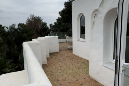 733c56ef74201cfab299c618f09eac70 - 49