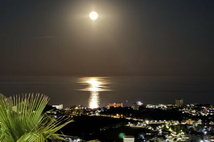 8009115324bcefe9e06ad0bd35d59fb6 - 35