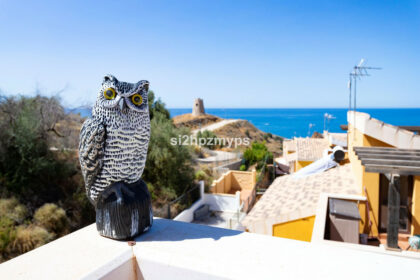 98c48aea3766ad8cf45a5aa2ba2ca4bb - 16