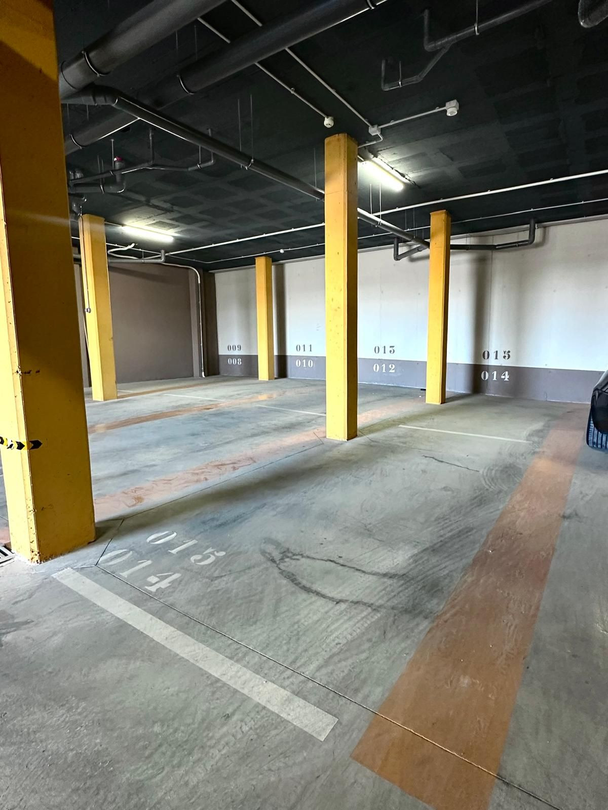 9d5d0ff75a51f2bbff87caf9c025207d - 17