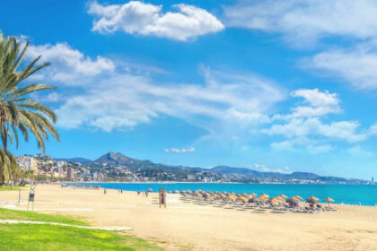 9e49cc70e3b1b221edcbbb2604136e44 - 31