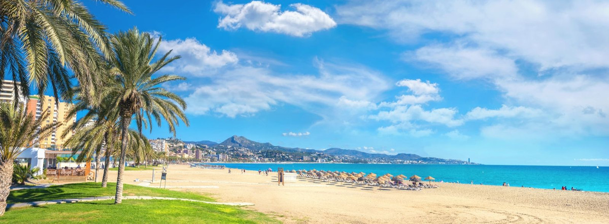 9e49cc70e3b1b221edcbbb2604136e44 - 31