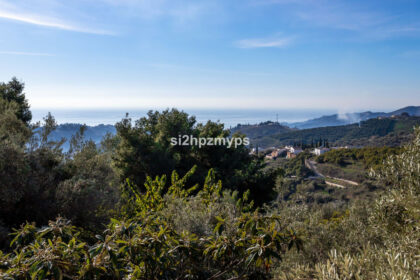 9f9de7d252a433d3f801930d4be2fb07 - 19