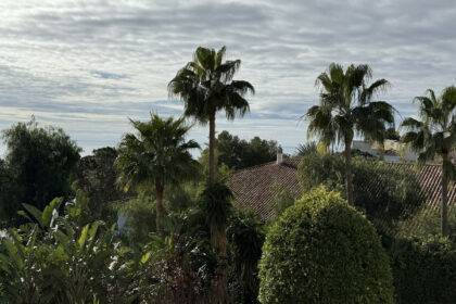 a0aa8eaa613fef92acf4561a5e3bfb43 - 28