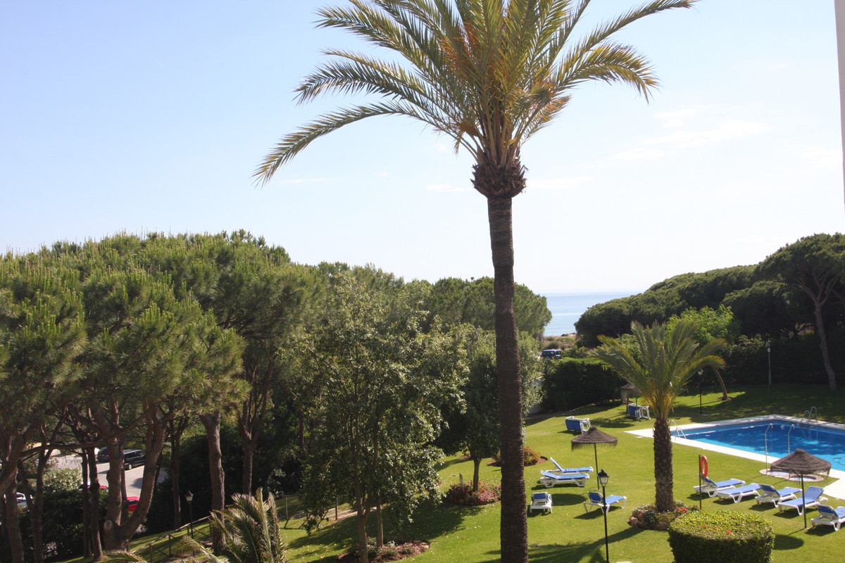 a5dd1cdf73837d86e08934cf5cba72a0 - 16