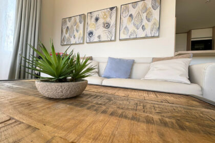 a825f1bc8e4e531eabcb933b9055dc1e - 23