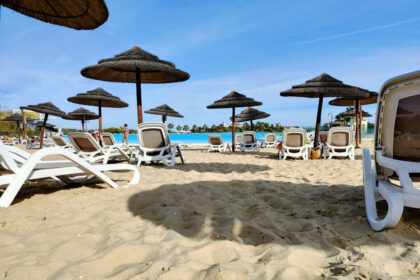 a825f1bc8e4e531eabcb933b9055dc1e - 33