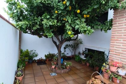 ac147007298e24802d9efffe4b83c04f - 4