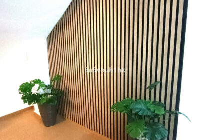 ad8fbe3eba237069475c2bd69039001b - 24