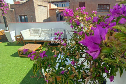 ad8fbe3eba237069475c2bd69039001b - 25