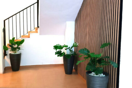 ad8fbe3eba237069475c2bd69039001b - 6