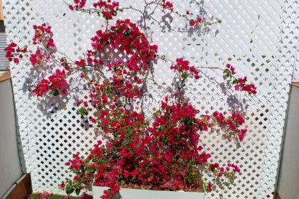 ad8fbe3eba237069475c2bd69039001b - 9