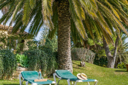 aed2018a579a3f87167c6756aee7974c - 33