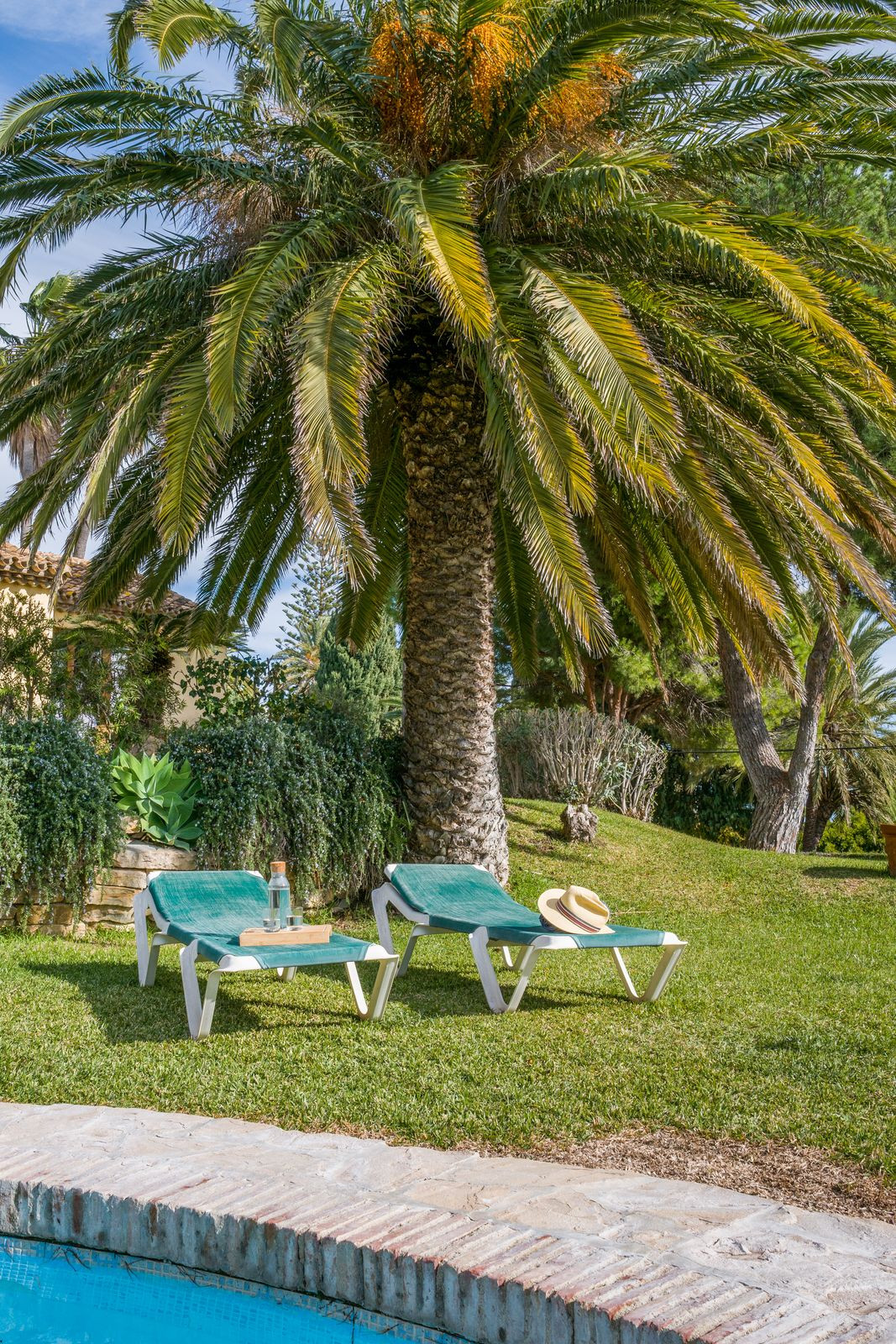 aed2018a579a3f87167c6756aee7974c - 33