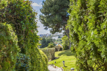 aed2018a579a3f87167c6756aee7974c - 77