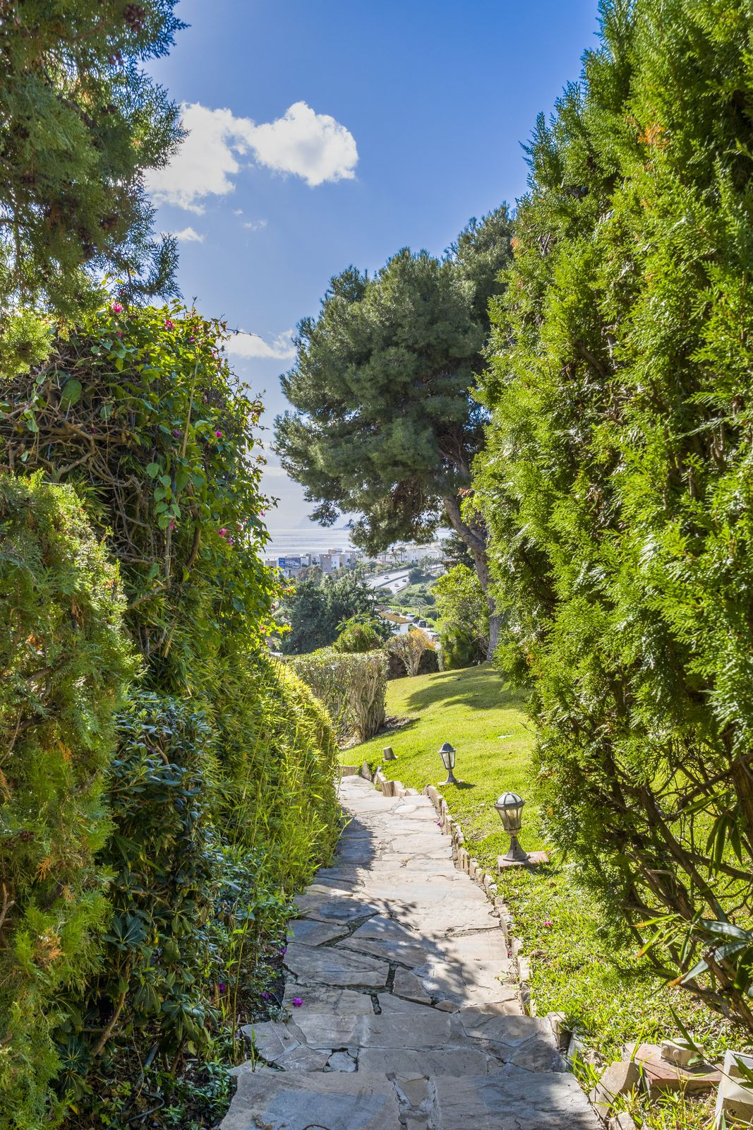 aed2018a579a3f87167c6756aee7974c - 77