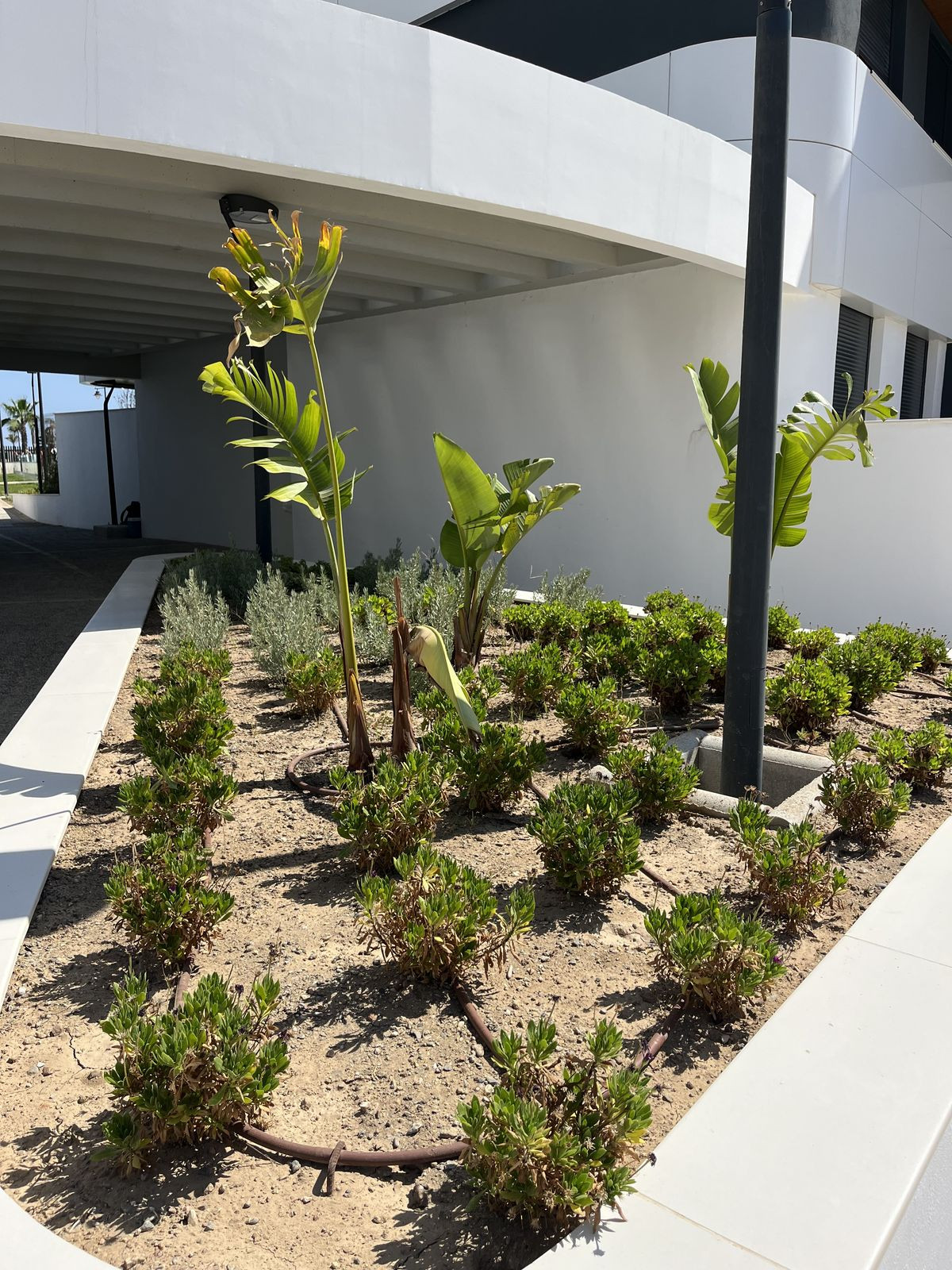 b3f9aecd9c2a56da863167ad00f27458 - 77