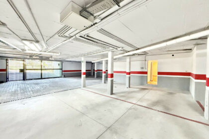 b833a8e286001d497f0059f4786e09e9 - 33