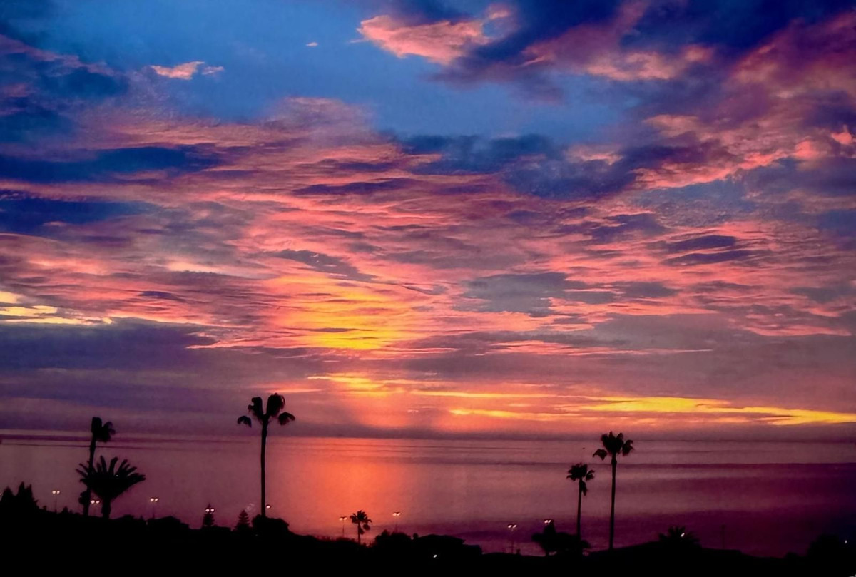 bc309bc7c57e0b50a9eb70367de345a4 - 4