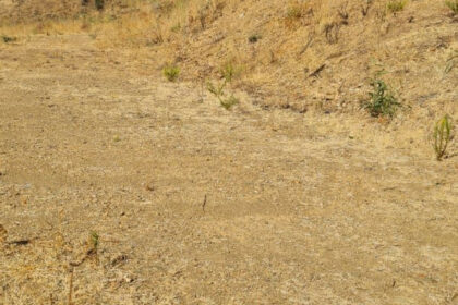 bcdaa382dd1506e56aa56973a59edb55 - 10