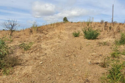 bcdaa382dd1506e56aa56973a59edb55 - 11