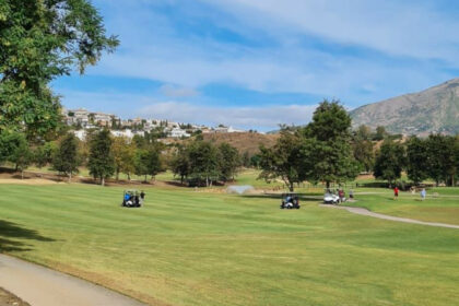 bcdaa382dd1506e56aa56973a59edb55 - 12