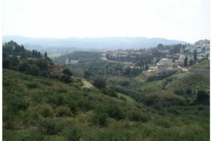 bcdaa382dd1506e56aa56973a59edb55 - 3