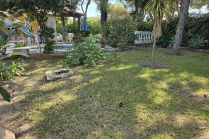 c45576a06fdf8f3a4d20b1dbe7923a75 - 17