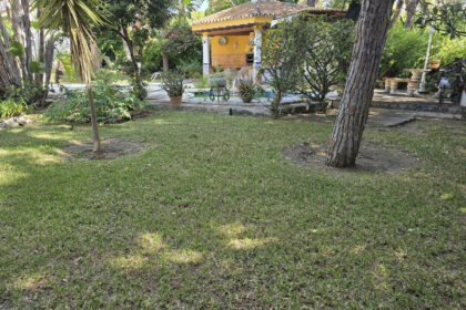 c45576a06fdf8f3a4d20b1dbe7923a75 - 18