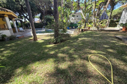 c45576a06fdf8f3a4d20b1dbe7923a75 - 20