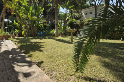 c45576a06fdf8f3a4d20b1dbe7923a75 - 21