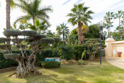 c7310ee603ed46dabae01b2c6e4336c0 - 4