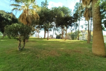 c9dd75aa396506f462e2230610949072 - 22