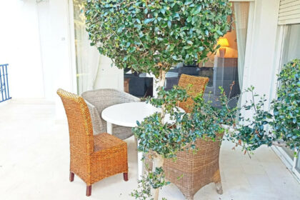 cbed7efab3d20bd4bdadad6193e29292 - 14