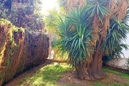 cbed7efab3d20bd4bdadad6193e29292 - 2